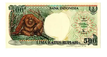 bancnota lima ratus pupiah 1992 fata